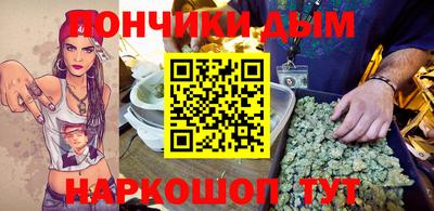 шишки Изобильный
