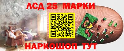 шишки Изобильный