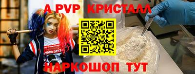 шишки Изобильный
