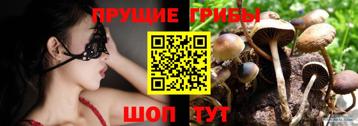 Псилоцибиновые грибы Psilocybine cubensis  Вход с VPN  Междуреченск 